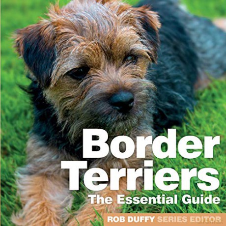 Border Terriers: The Essential Guide (Need2know Essential Guides) - Rob Duffy [KSIĄŻKA]