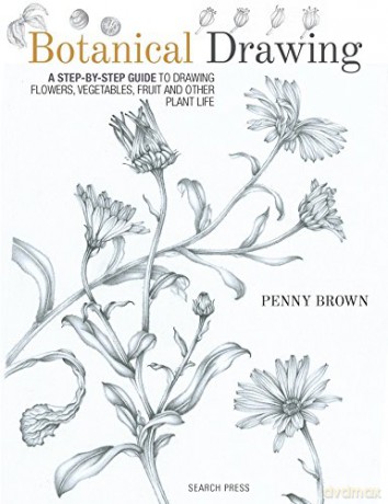 Botanical Drawing: A step-by-Step guide to drawing flowers, vegetables, fruit and other plant life - Penny Brown [KSIĄŻKA]