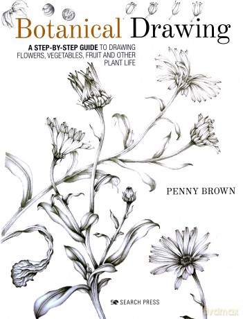 Botanical Drawing: A step-by-Step guide to drawing flowers, vegetables, fruit and other plant life - Penny Brown [KSIĄŻKA]