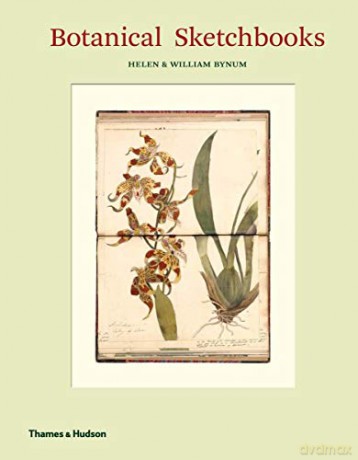 Botanical Sketchbooks - Helen Bynum [KSIĄŻKA]