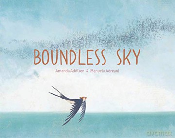 Boundless Sky - Amanda Addison [KSIĄŻKA]