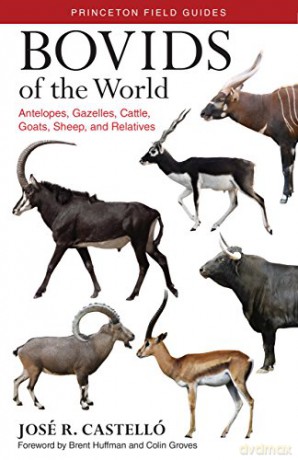 Bovids of the World: Antelopes, Gazelles, Cattle, Goats, Sheep, and Relatives: 104 (Princeton Field Guides) - José R Castelló [KSIĄŻKA]