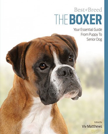 Boxer Best of Breed: Your Essential Guide from Puppy to Senior Dog - Viv Matthews [KSIĄŻKA]