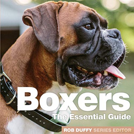 Boxers: The Essential Guide (Need2know Essential Guides) - Rob Duffy [KSIĄŻKA]