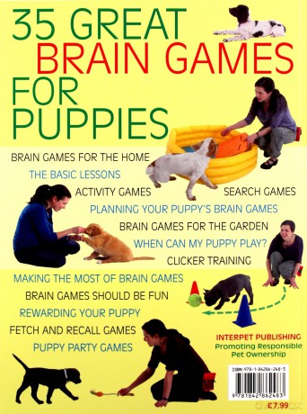 Brain Games for Puppies: Learn how to build a stong and loving bond with a puppy - Claire Arrowsmith [KSIĄŻKA]