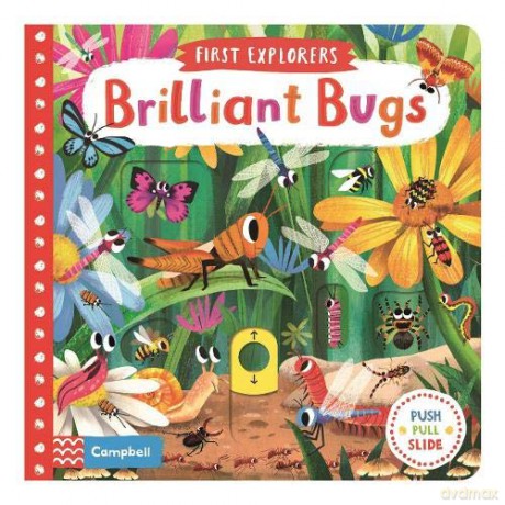 Brilliant Bugs (First Explorers) [KSIĄŻKA]