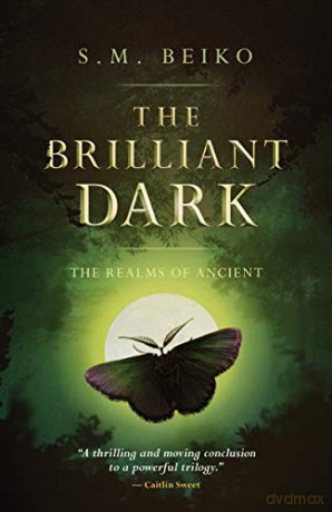 Brilliant Dark, The: The Realms of Ancient, Book 3 - S.M. Beiko [KSIĄŻKA]