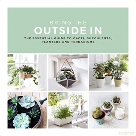 Bring The Outside In: The Essential Guide to Cacti, Succulents, Planters and Terrariums - Val Bradley [KSIĄŻKA]