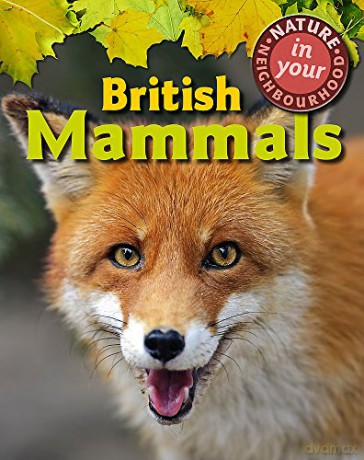 British Mammals (Nature in Your Neighbourhood) - Clare Collinson [KSIĄŻKA]