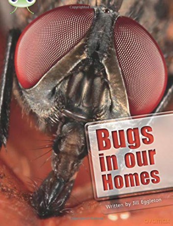 Bugs in Our Homes (BUG CLUB) - Jill Eggleton [KSIĄŻKA]