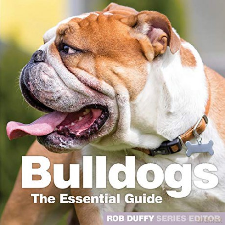 Bulldogs: The Essential Guide (Need 2 Know Essential Guides) - Robert Duffy [KSIĄŻKA]