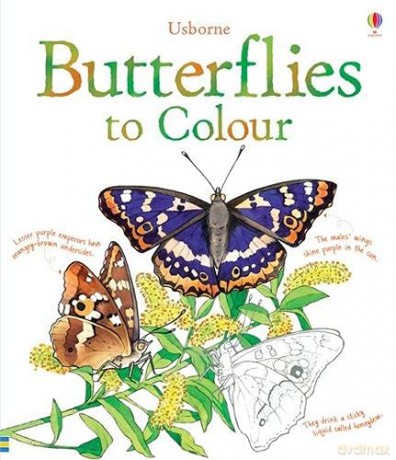 Butterflies to Colour (Colouring Books) - Megan Cullis [KSIĄŻKA]
