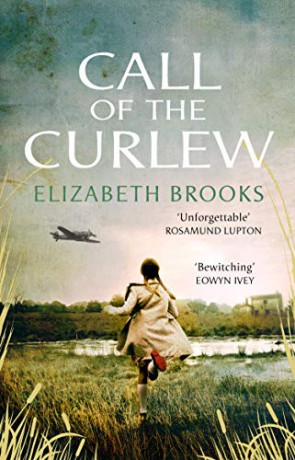 Call of the Curlew - Elizabeth Brooks [KSIĄŻKA]