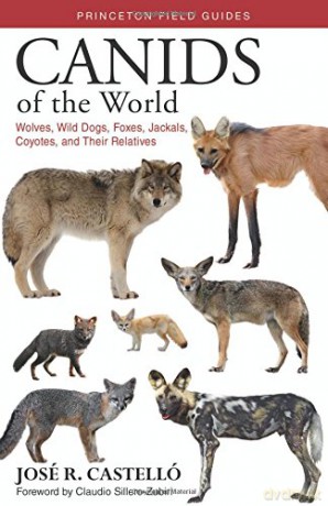 Canids of the World: Wolves, Wild Dogs, Foxes, Jackals, Coyotes, and Their Relatives (Princeton Field Guides): 116 - José R. Castelló [KSIĄŻKA]