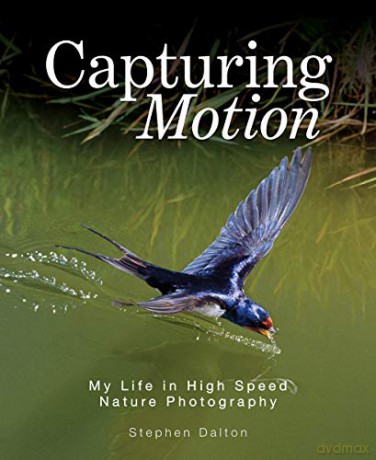 Capturing Motion: My Life in High Speed Nature Photography - Stephen Dalton [KSIĄŻKA]