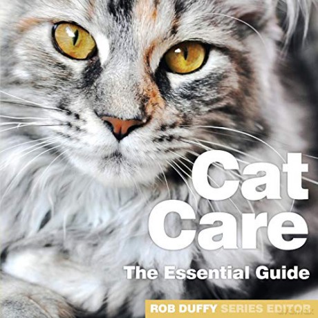 Cat Care: The Essential Guide (Need 2 Know Essential Guides) - Robert Duffy [KSIĄŻKA]