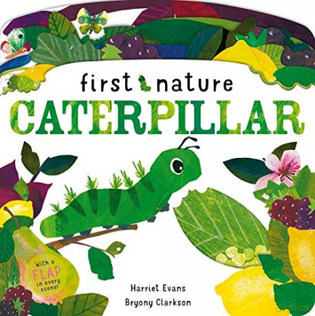 Caterpillar (First Nature) - Harriet Evans [KSIĄŻKA]