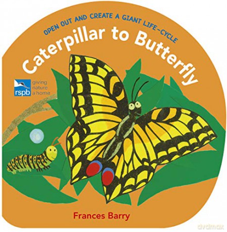 Caterpillar to Butterfly: Open Out and Create a Giant Life-Cycle: 1 - Frances Barry [KSIĄŻKA]