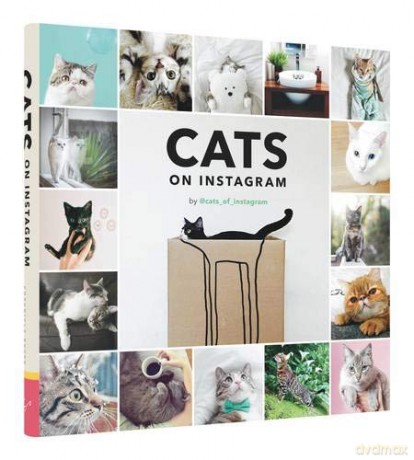 Cats On Instagram [KSIĄŻKA]