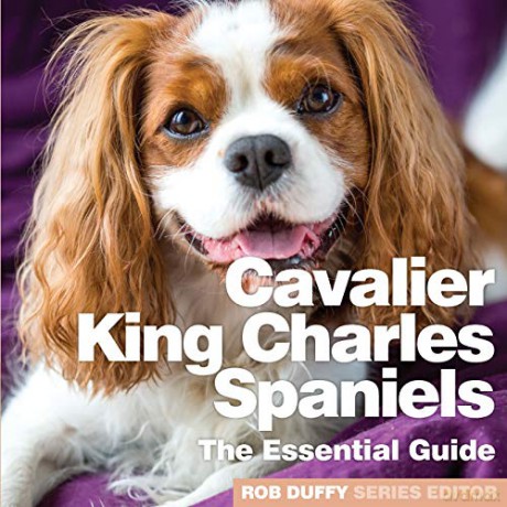 Cavalier King Charles Spaniels: The Essential Guide (Need2know Essential Guides) - Rob Duffy [KSIĄŻKA]