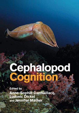 Cephalopod Cognition - Anne-Sophie Darmaillacq [KSIĄŻKA]