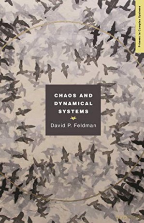 Chaos and Dynamical Systems: 7 (Primers in Complex Systems, 7) - David Feldman [KSIĄŻKA]