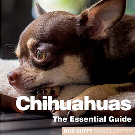 Chichuahuas: The Essential Guide (Need2know Essential Guides) - Rob Duffy [KSIĄŻKA]