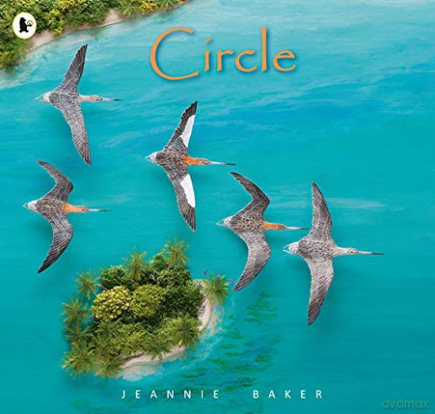 Circle - Jeannie Baker [KSIĄŻKA]