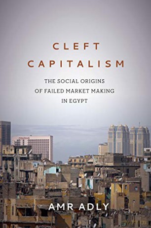Cleft Capitalism: The Social Origins of Failed Market Making in Egypt (Stanford Studies in Middle Eastern and Islamic Societies and Cultures) - Amr Adly [KSIĄŻKA]