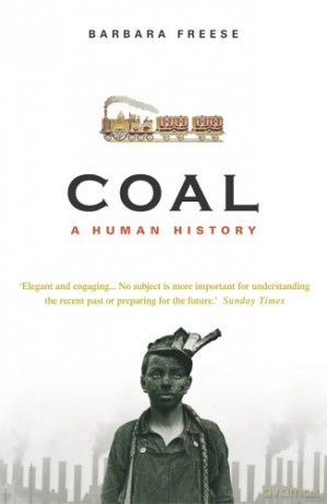 Coal: A Human History - Barbara Freese [KSIĄŻKA]