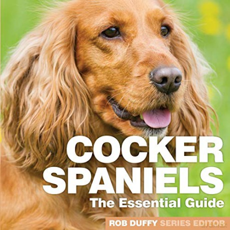 Cocker Spaniels: The Essential Guide - Robert Duffy [KSIĄŻKA]