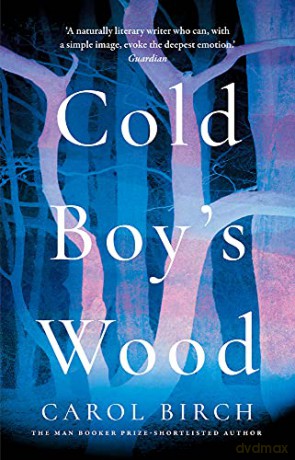 Cold Boy's Wood - Carol Birch [KSIĄŻKA]