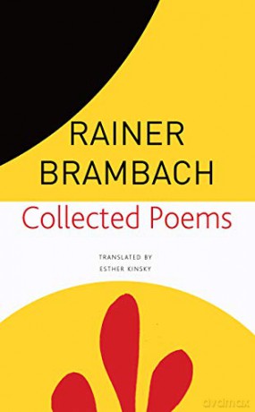Collected Poems (The Seagull Library of German Literature) - Rainer Brambach [KSIĄŻKA]