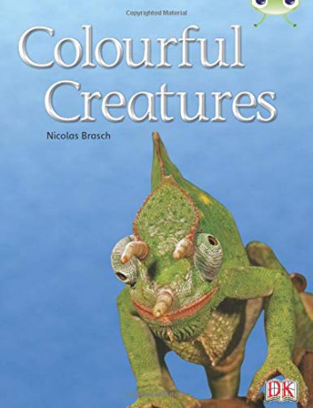 Colourful Creatures - Nicolas Brasch [KSIĄŻKA]