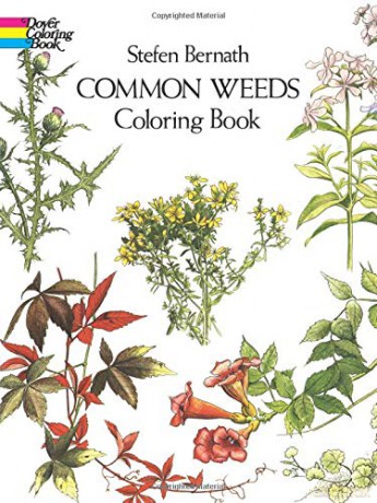 Common Weeds Coloring Book (Dover Nature Coloring Book) - Stefen Bernath [KSIĄŻKA]