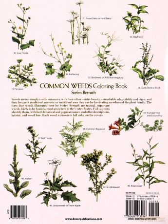 Common Weeds Coloring Book (Dover Nature Coloring Book) - Stefen Bernath [KSIĄŻKA]