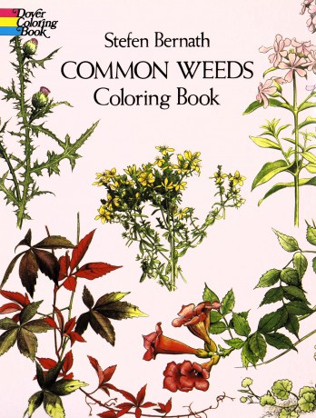 Common Weeds Coloring Book (Dover Nature Coloring Book) - Stefen Bernath [KSIĄŻKA]
