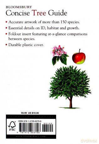 Concise Tree Guide (The Wildlife Trusts) [KSIĄŻKA]