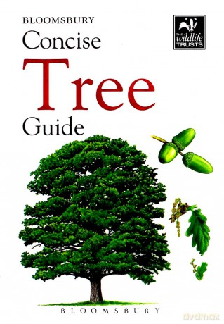 Concise Tree Guide (The Wildlife Trusts) [KSIĄŻKA]