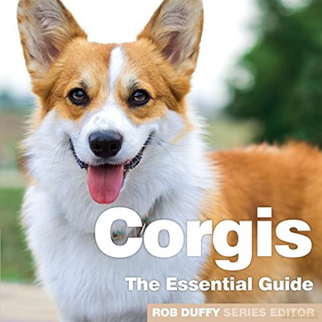 Corgis: The Essential Guide - Robert Duffy [KSIĄŻKA]
