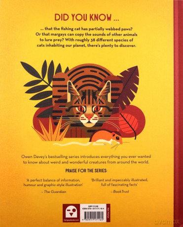 Crazy About Cats: 3 (Owen Davey Animal Series) - Owen Davey [KSIĄŻKA]