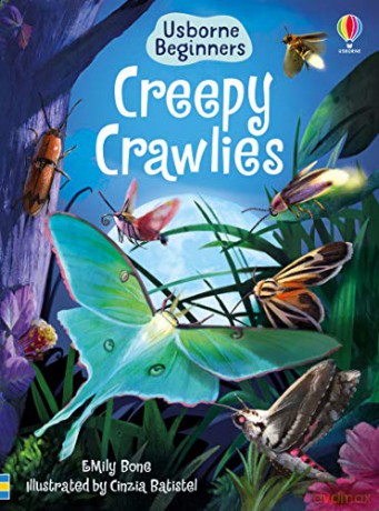 Creepy Crawlies (Beginners): 1 - Emily Bone [KSIĄŻKA]
