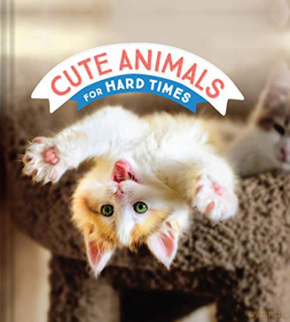 Cute Animals for Hard Times - Chronicle Books [KSIĄŻKA]