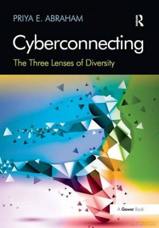Cyberconnecting: The Three Lenses of Diversity - Priya E. Abraham [KSIĄŻKA]