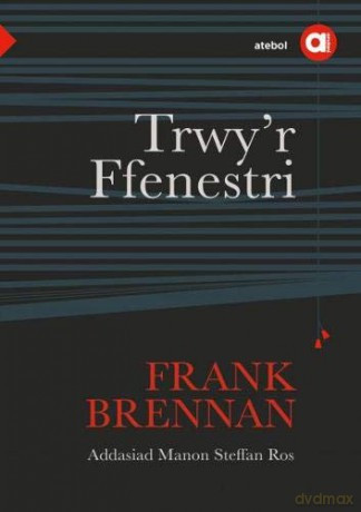 Cyfres Amdani: Trwy'r Ffenestri - Frank Brennan [KSIĄŻKA]