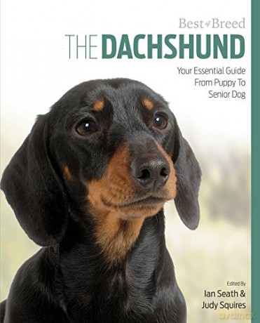 Dachshund Best of Breed: Your Essential Guide from Puppy to Senior Dog - Ian Seath [KSIĄŻKA]