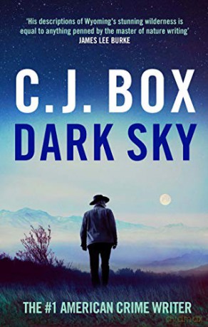 Dark Sky (Joe Pickett) (Joe Pickett 21) [KSIĄŻKA]