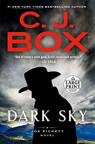 Dark Sky: 21 (Joe Pickett Novel) - C J Box [KSIĄŻKA]