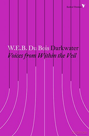 Darkwater: Voices from Within the Veil (Radical Thinkers) [KSIĄŻKA]