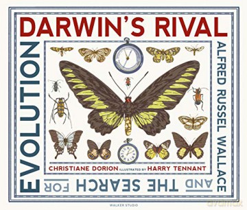 Darwin's Rival: Alfred Russel Wallace and the Search for Evolution (Walker Studio) - Christiane Dorion [KSIĄŻKA]